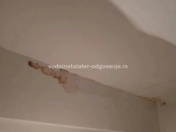 Detekcija curenja zbog fleke na plafonu