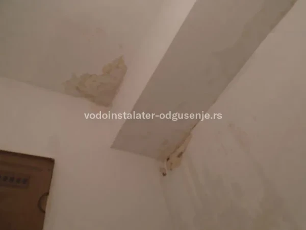 Detektovanje mesta pucanja cevi u zidu termalnom kamerom