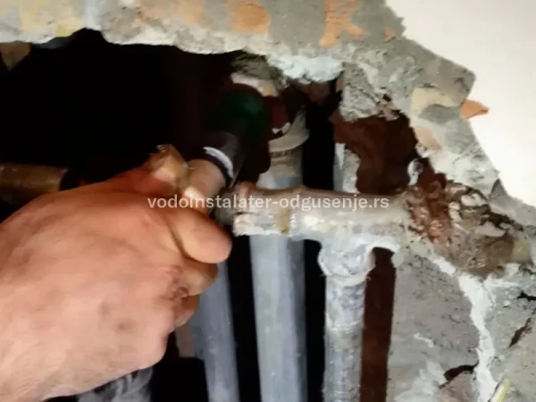Entuzijasti i posle više od dve decenije rada!