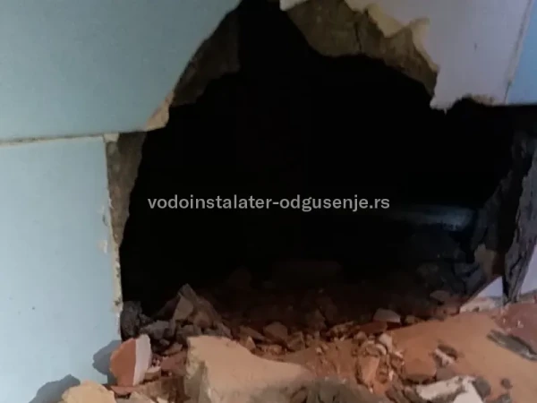 Kod jako zaprljane kanalizacije - WOMA mašine