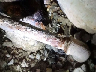 Mašinsko odgušenje kanalizacije Borča