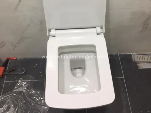 Odgušavanje wc šolje u toaletu 