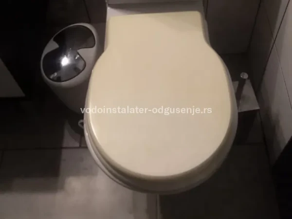Odgušenje cevi