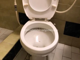 Otpušavanje wc šolje Surčin