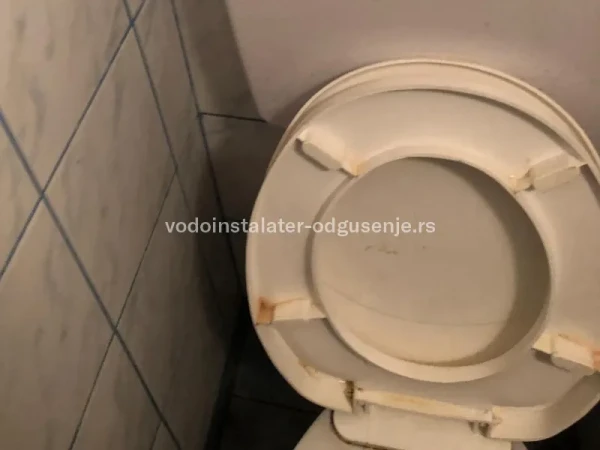 Popravljanje wc šolje
