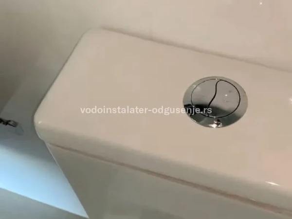 Šta ako ispadne dugme vodokotlića?