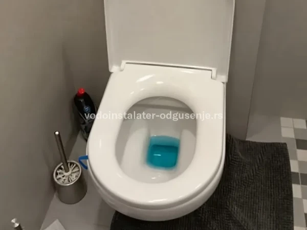 Wc šolja nije zapušena ali ne radi - u pitanju je vodokotlić