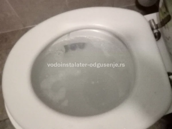 Zapušena wc šolja kao najhitnija intervencija