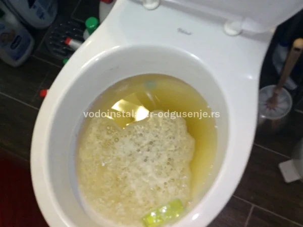 Zapušena wc šolja kao najneprijatnija situacija