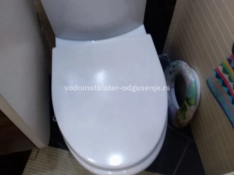 Odgušenje WC šolje 9 1