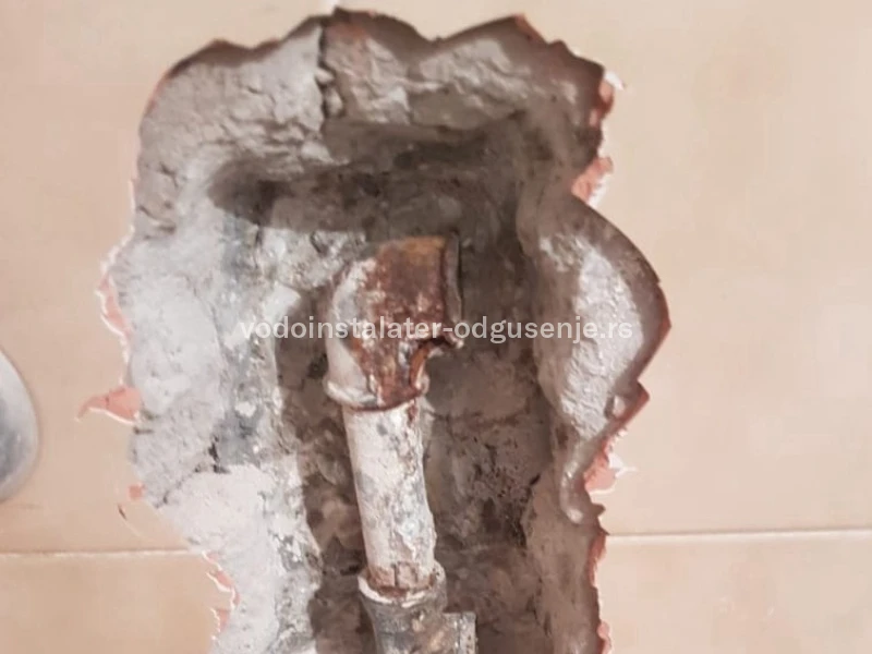 ODGUŠENJE KANALIZACIJE LAZAREVAC 3 2