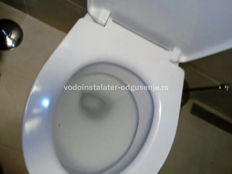 Odgušenje WC šolje 7 2