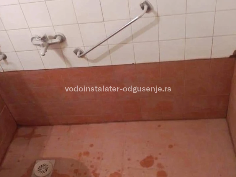 ODGUŠENJE KANALIZACIJE LEKINO BRDO 3 2