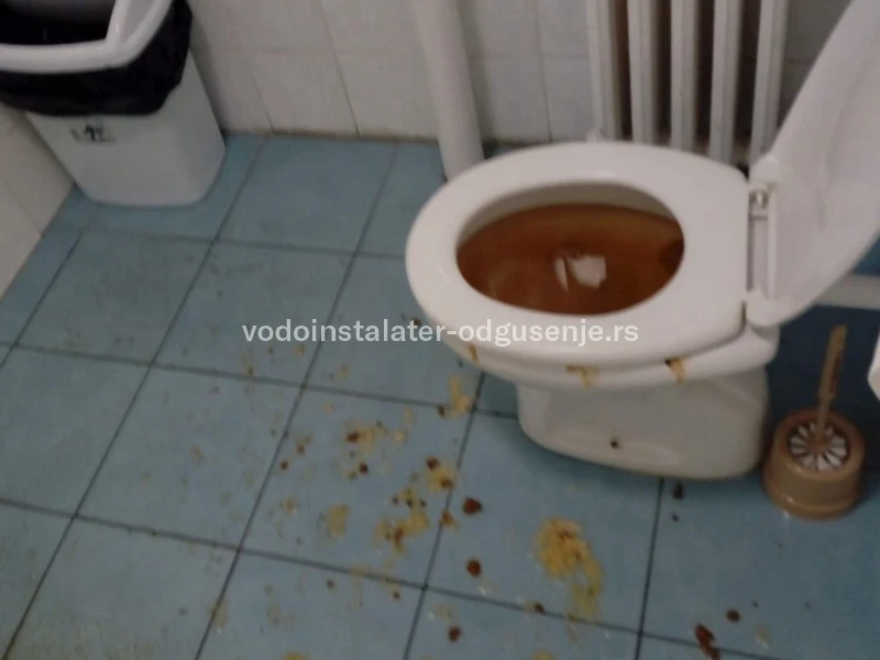 Otpušavanje WC šolje 9 5