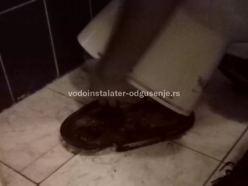 ODGUŠENJE KANALIZACIJE BANOVO BRDO 5 2