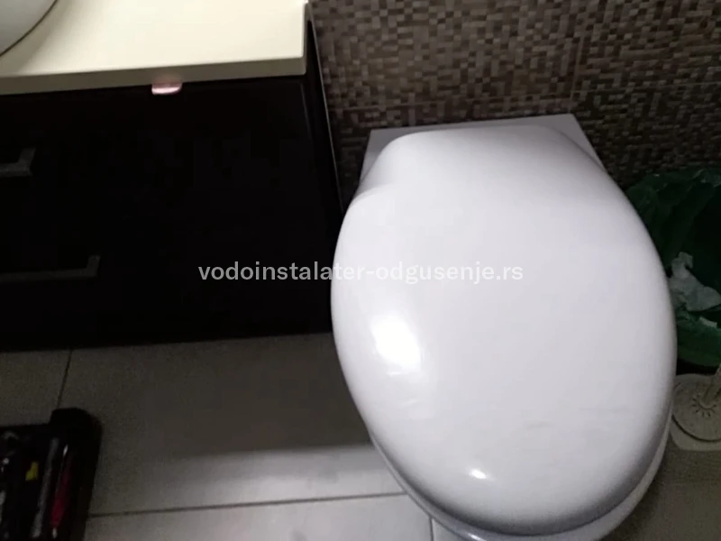 Odgušenje WC šolje 9 5