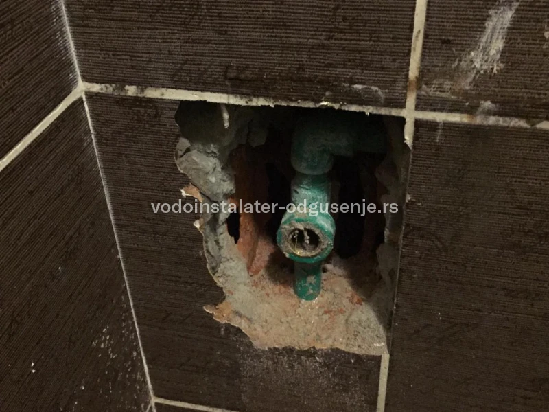 ODGUŠENJE KANALIZACIJE RESNIK 3 3