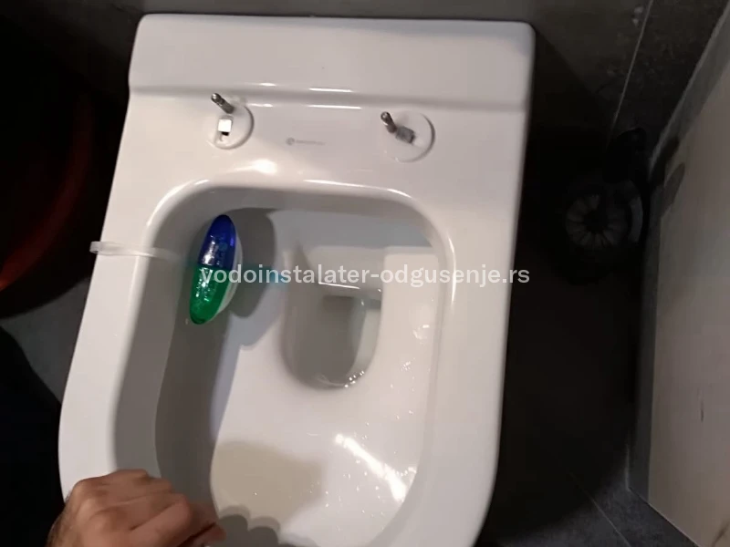 Odgušenje WC šolje 9 2