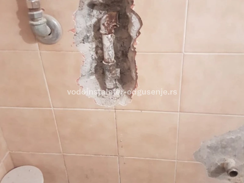 ODGUŠENJE KANALIZACIJE LAZAREVAC 3 1