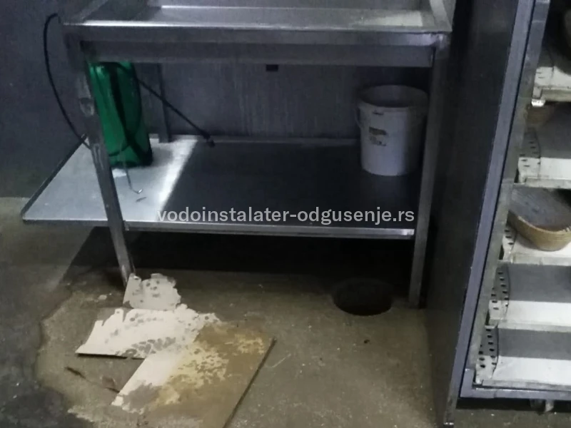 ODGUŠENJE KANALIZACIJE ZVEZDARA 3 5